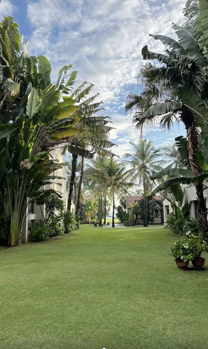 detailedGaa's tweet photo. Old houses weren't built around their trees. 

They were built with them.

Shade was architecture too.

Imagine sitting here at 4pm. https://t.co/ZeffzNykOk