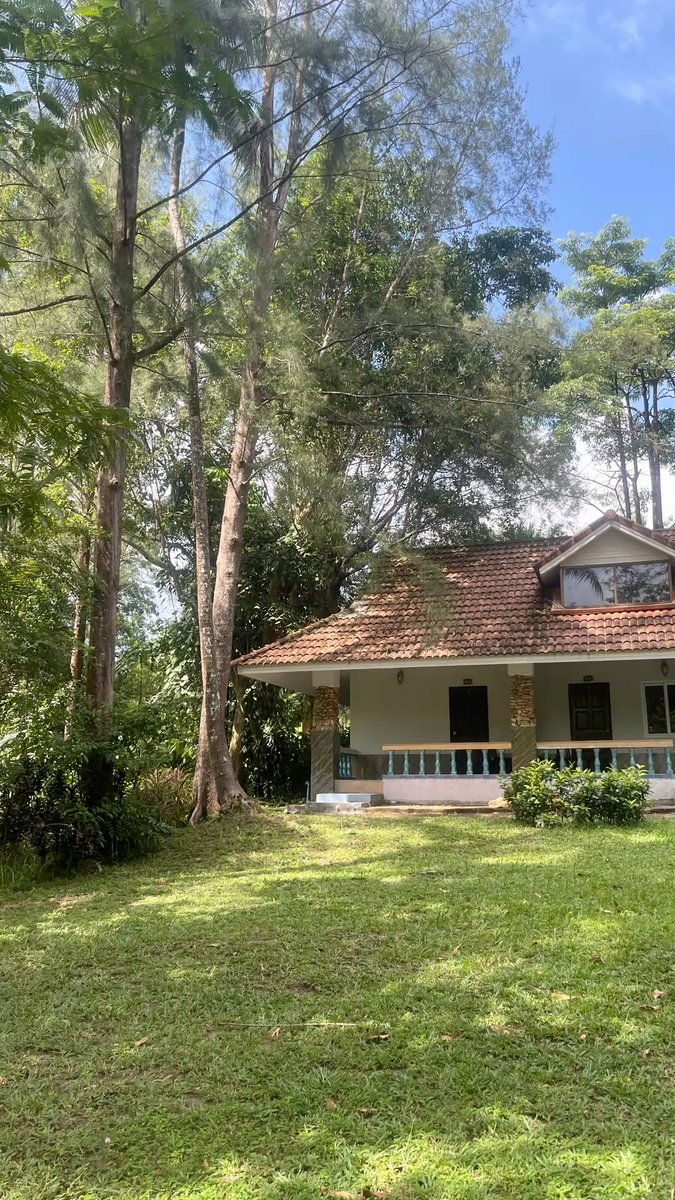 detailedGaa's tweet photo. Old houses weren't built around their trees. 

They were built with them.

Shade was architecture too.

Imagine sitting here at 4pm. https://t.co/ZeffzNykOk