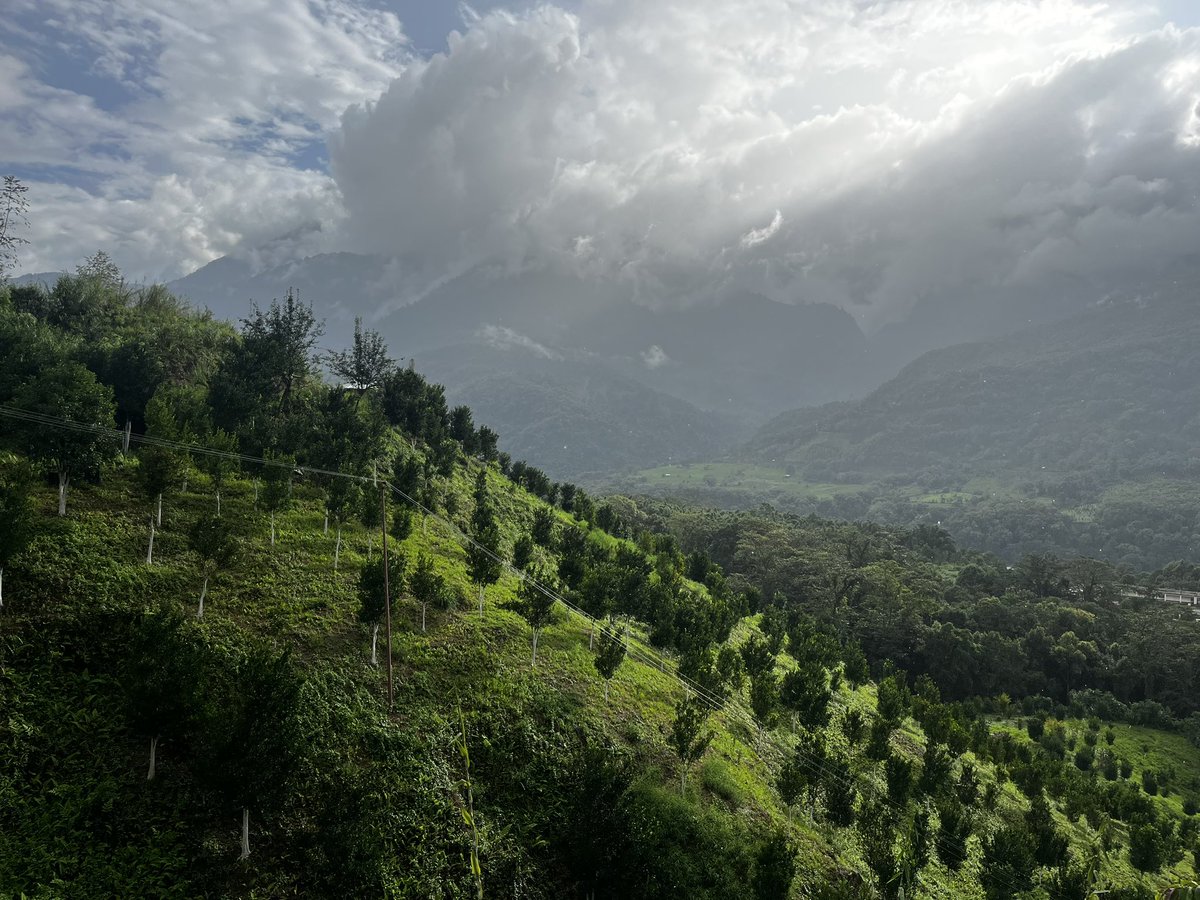 itsMarinaDai's tweet photo. #Uppersiang District of #ArunachalPradesh at this time of the year . https://t.co/gxNj0SM5WE
