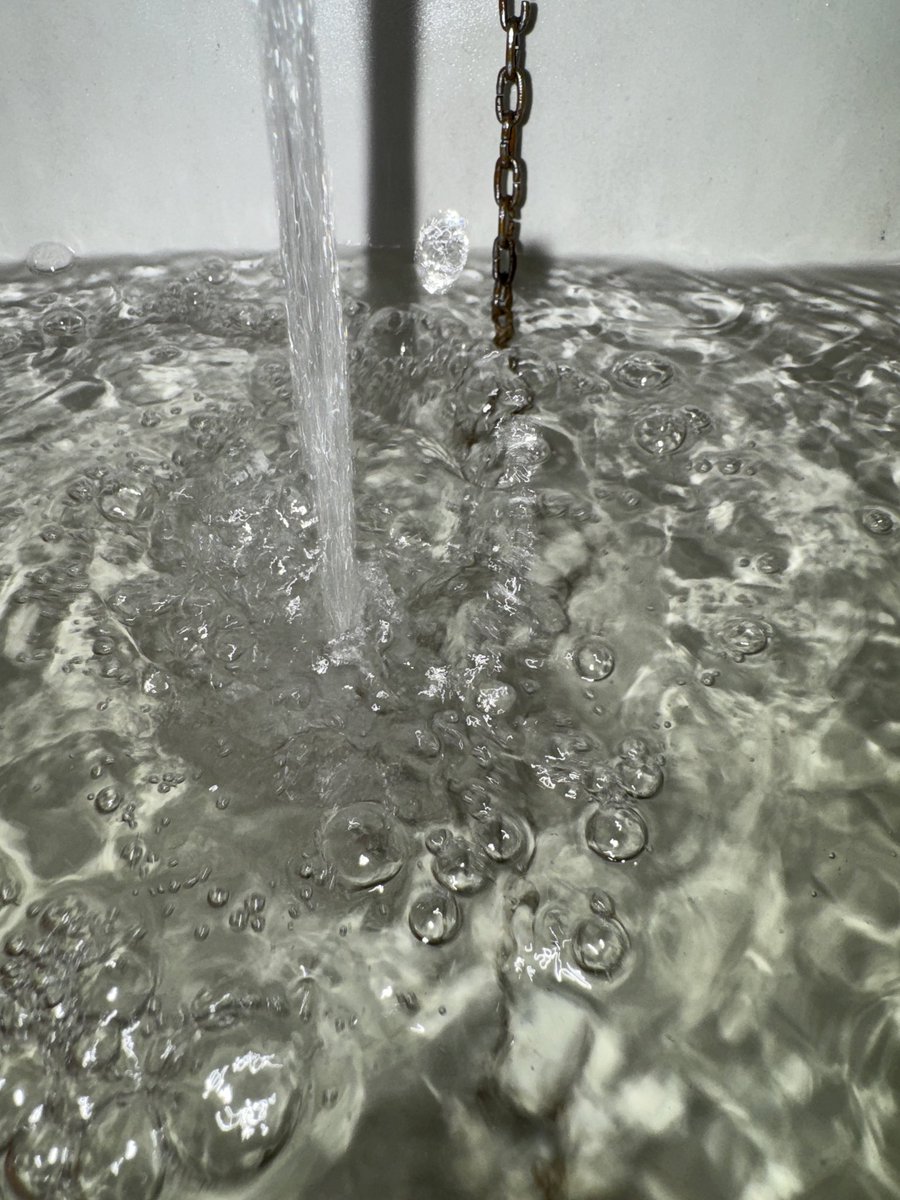 eddotcum's tweet photo. Bath time 🫩 https://t.co/XzckZA1hHG