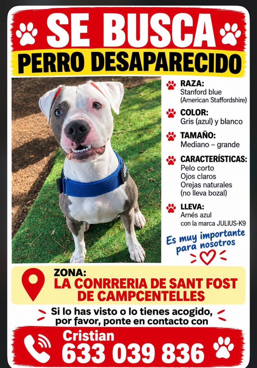 areagossosbdn's tweet photo. 🆘🆘¡¡ ATENCIÓN !!🆘🆘
Perro desaparecido en la zona de La Conrreria/#SantFostdeCampsentelles.
Visto hoy por la zona de Can Ruti #Badalona.
Si lo ves ponte en contacto:
📞 633039836
Máxima difusión.
📣📣📣
#XarxaBarcelonaPerduts
#FemXarxa https://t.co/WpU7yGR7R6