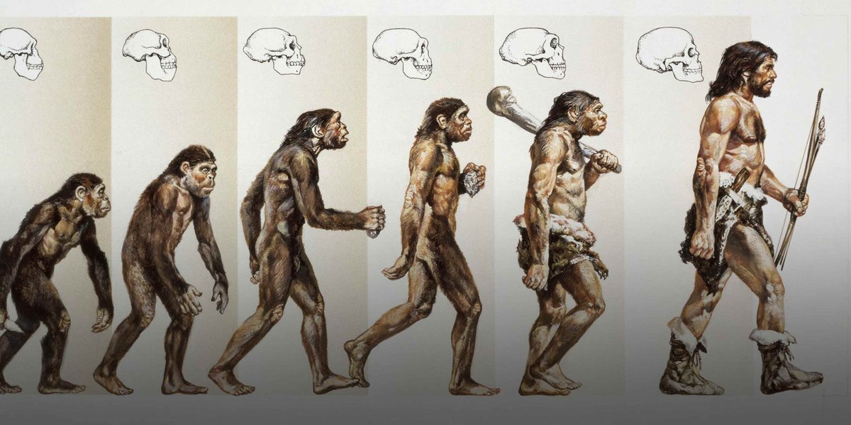 L0C0_Mayne's tweet photo. @Annygist @grok If you didnt believe in evolution https://t.co/ryOG8k9Won