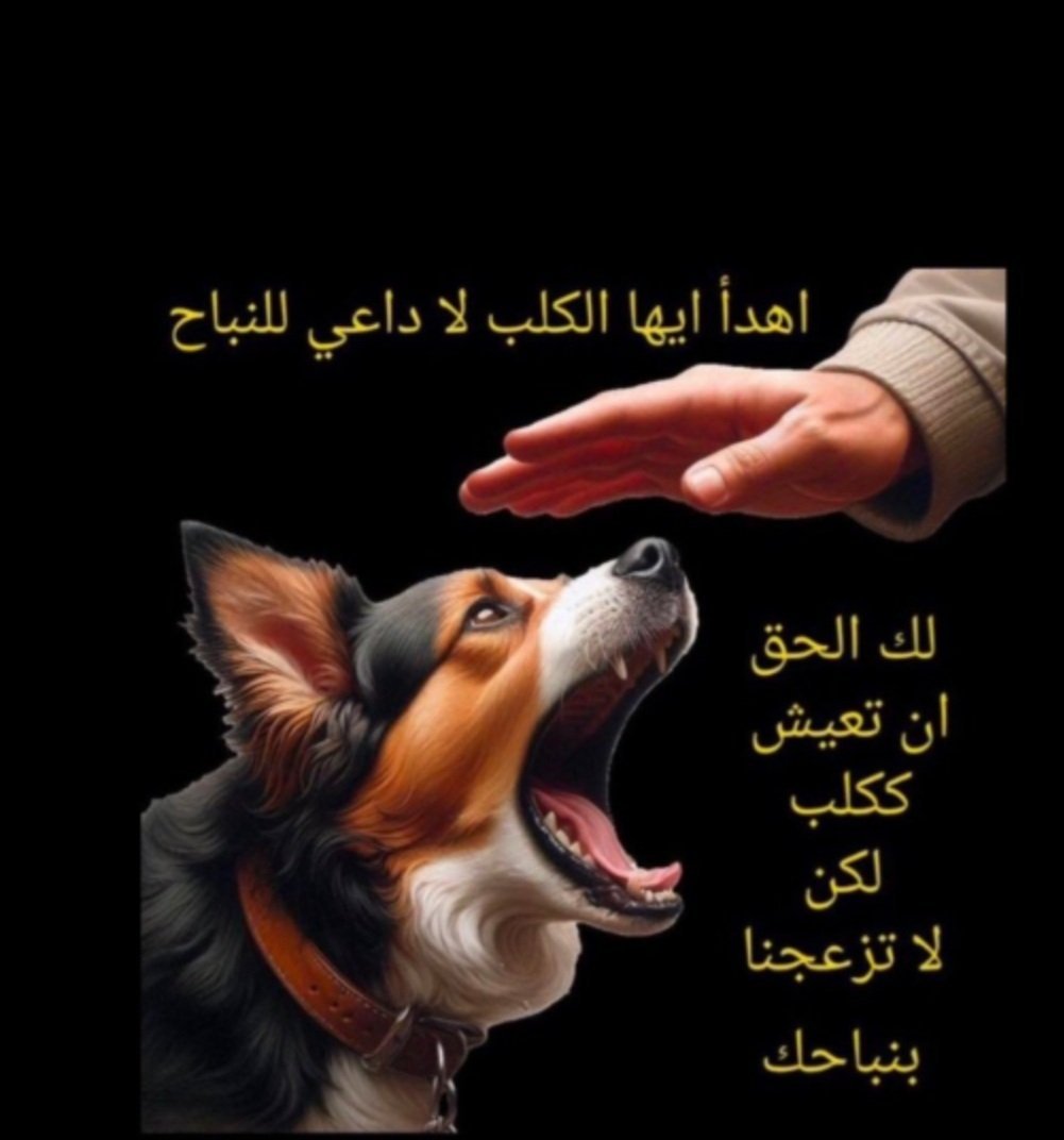 Omans79's tweet photo. @deryamuae https://t.co/2fbsIndS4i