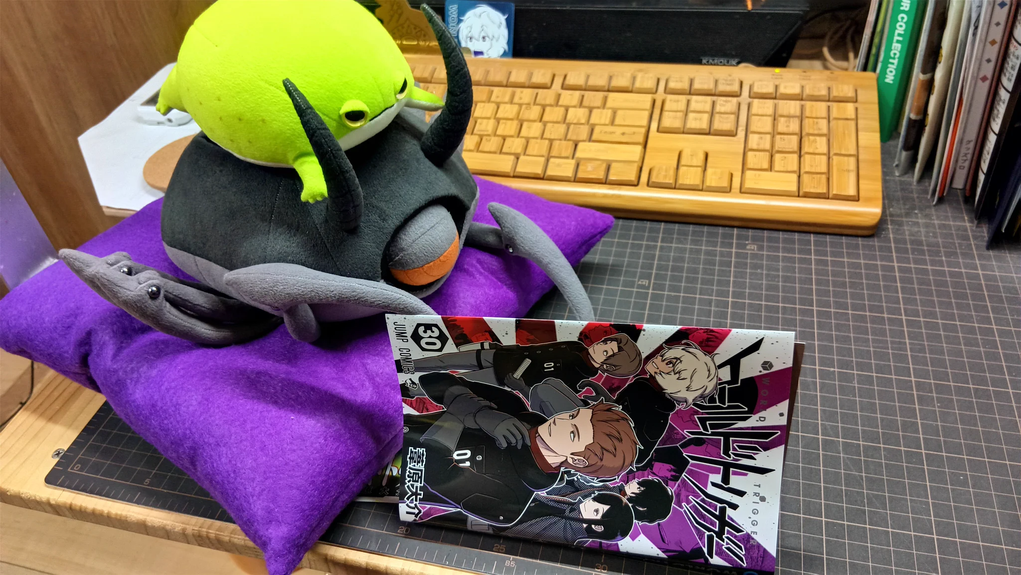 花らいおん🐸次は九レプ！🦎 (@craft_hana_lion) / X