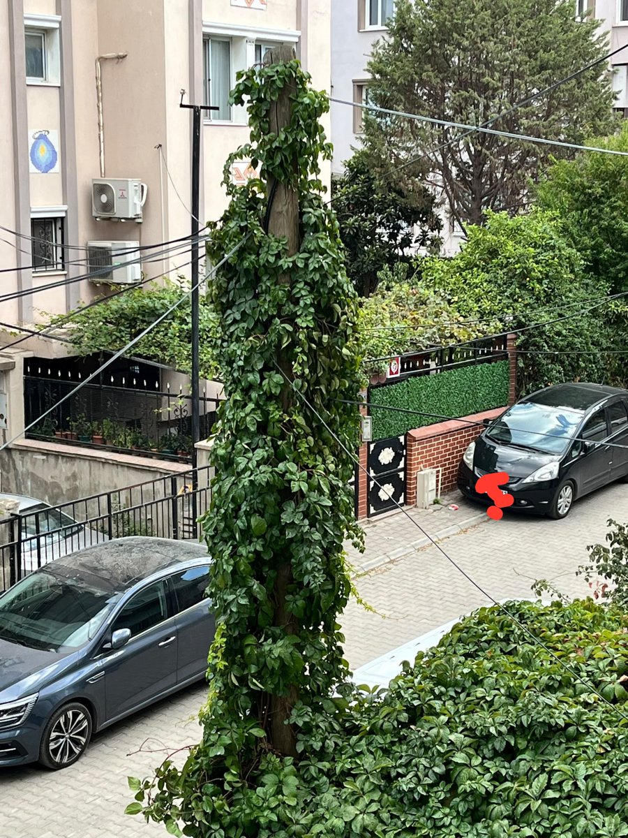 gor_ismail's tweet photo. @TurkTelekom Bu gördüğünüz yer Hindistan ya da Bangladeş değil İzmirin göbeği Bornovadaki Gaziosmanpaşa mahallesi ve yıllardır fiber alt yapı beklenen bir bölge gördüğünüz gibi örümcek ağına döndü direk ne zaman yatırım yapacaksınız ? Siz ki ne kırsal bölgelere ne yüksek yerlere+ https://t.co/CMCsWnA8w6