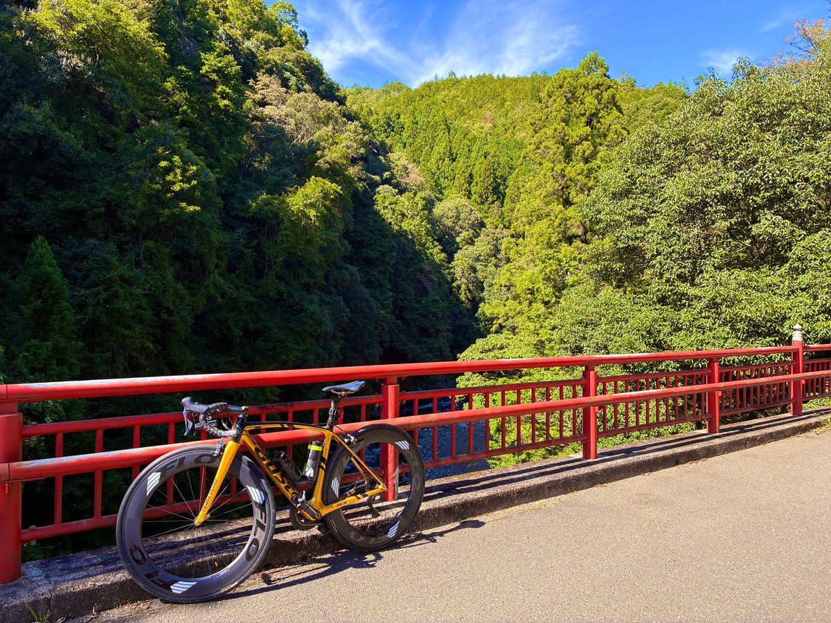 horokusa_v tweet picture