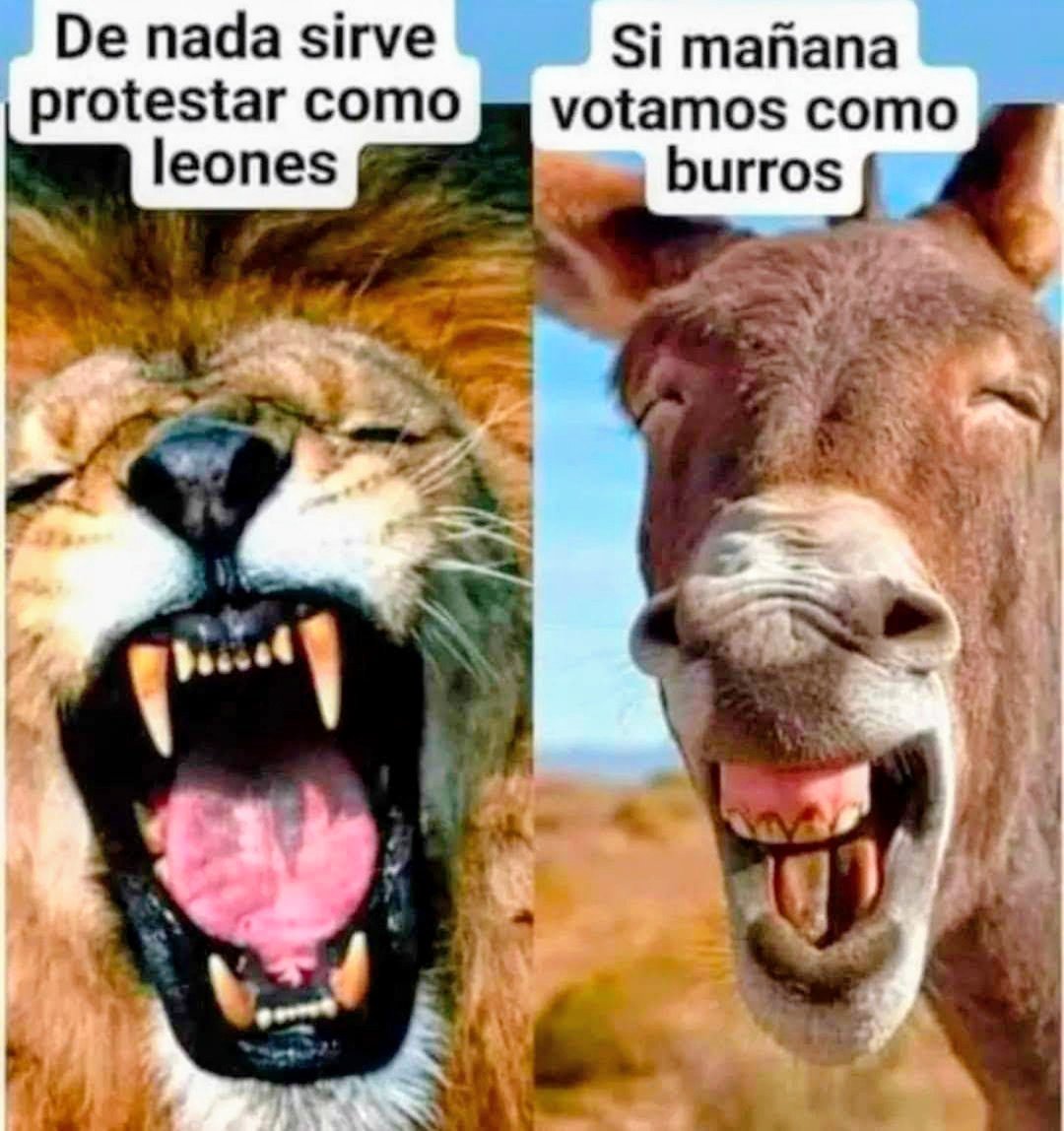josepalomaresb1's tweet photo. Que lo sepais amig@s. https://t.co/2aLkOzqZht