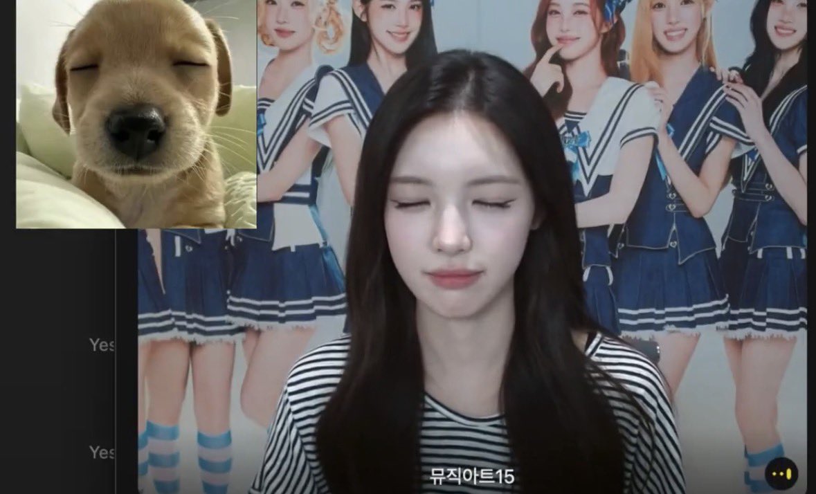 p_iglo_ve's tweet photo. 커어.. https://t.co/Y8lzOHytxe