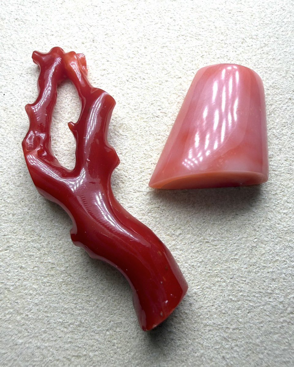 JEWELRY_LAND_'s tweet photo. 実はサンゴ、宝石なのに「石」ではありません🪸

サンゴは鉱物ではなく、海の中で生きる生物が作り出したもの🌊

長い時間をかけて形成された骨格が加工され、
こんな美しいルースになります。

つまりサンゴは、
「海の生き物が残した美しさ」とも言える宝石🐟

今夜ご紹介するサンゴもその造形含め鉱物とはまた違った、独特の魅力があります✨