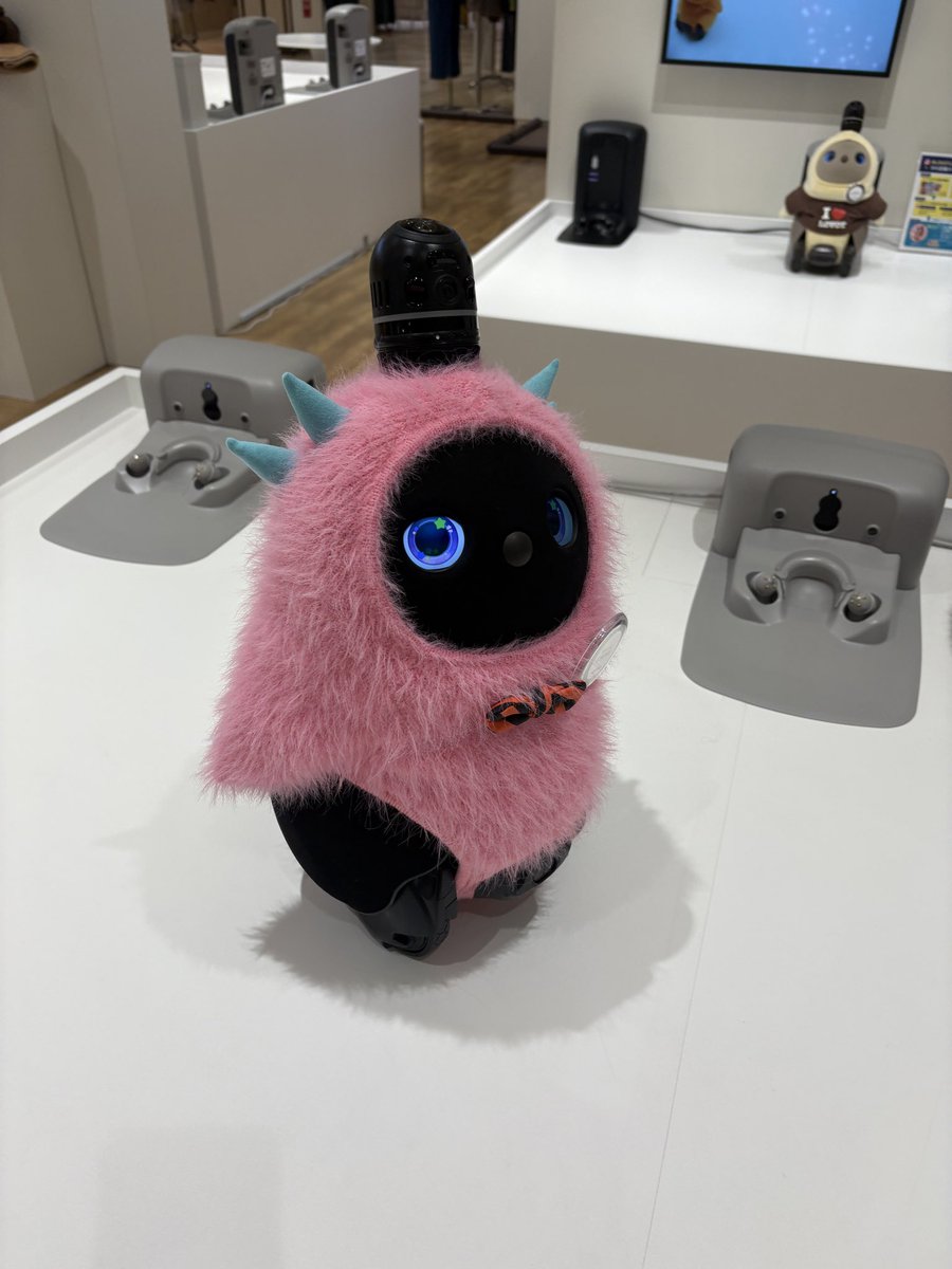caocoicao's tweet photo. ラボットちゃんお迎えする夢は一旦絶たれた🥲 https://t.co/1LSwLkjz8q