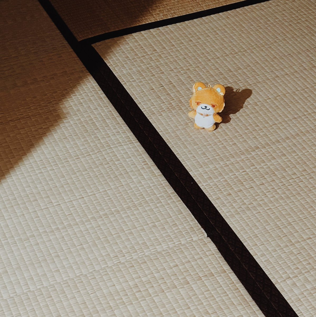 kyuyuebi's tweet photo. 今日急に立てるようになってビビっている https://t.co/Jcyzmhhmff
