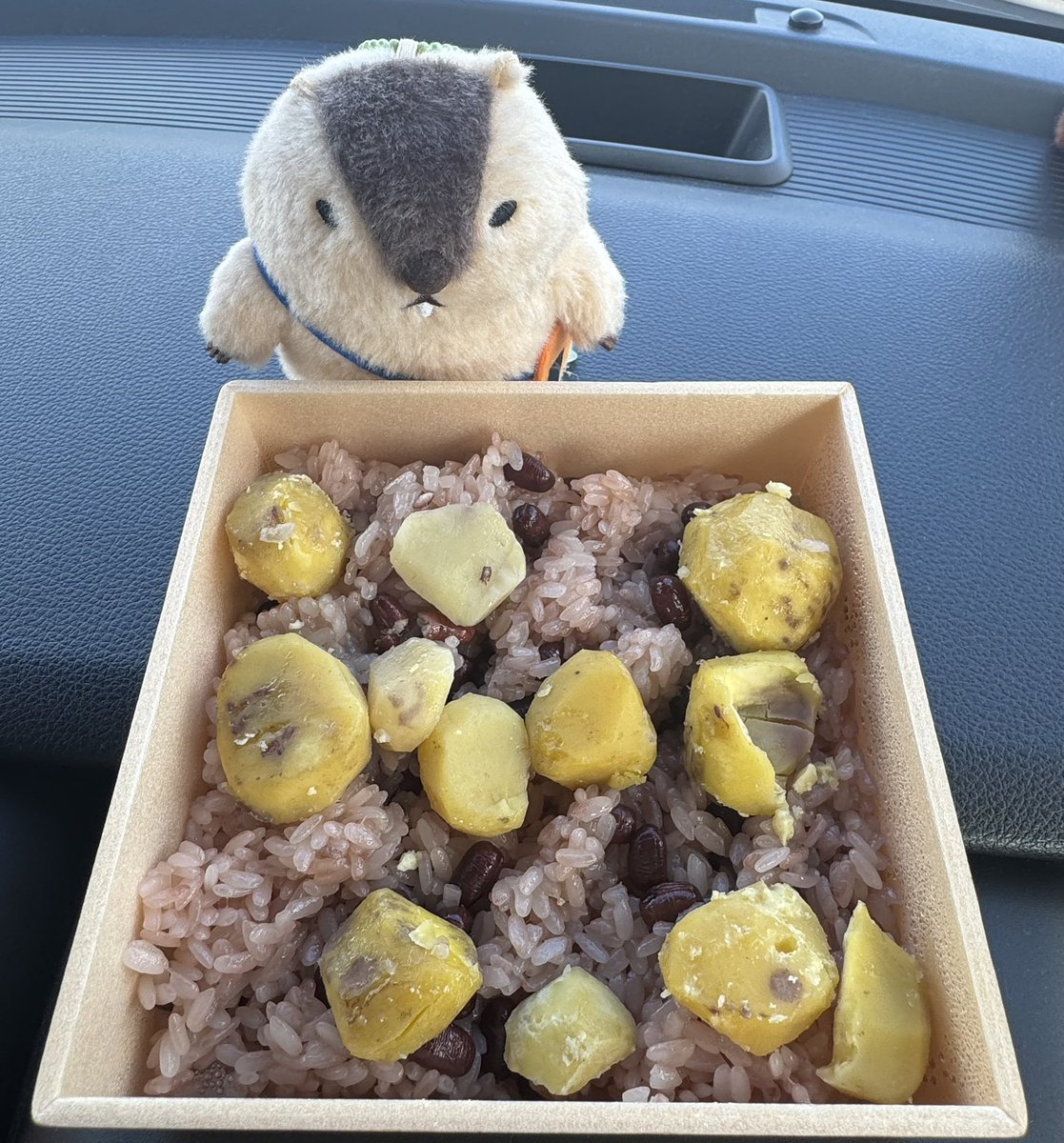 mamomin_aaa's tweet photo. 秋の味覚だアーーー

#マーモットのもっとっと
#マーモットのもっとっと広場
#はまもと一人旅 https://t.co/LfesAwnnq2
