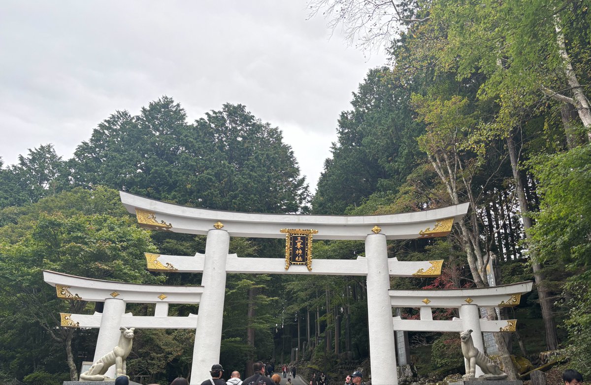 amazarl's tweet photo. オオカミを祀ってる三峯神社行ってきた！
神聖な感じでとても良きだった…
また行く機会あれば行きたい…
#五木つかさ https://t.co/cuP7ueiYIu