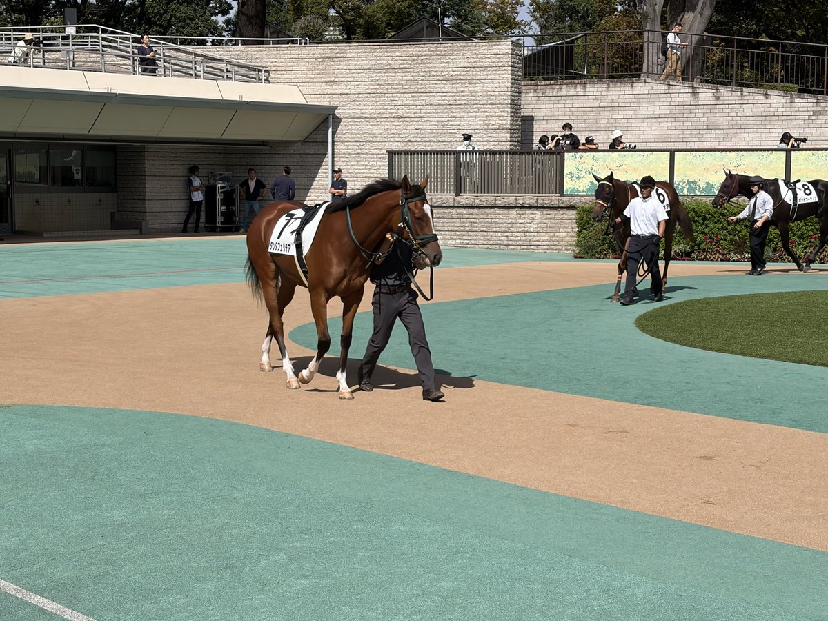 AbecchyZNOT's tweet photo. タンタフェリチア https://t.co/O93WO58zxX