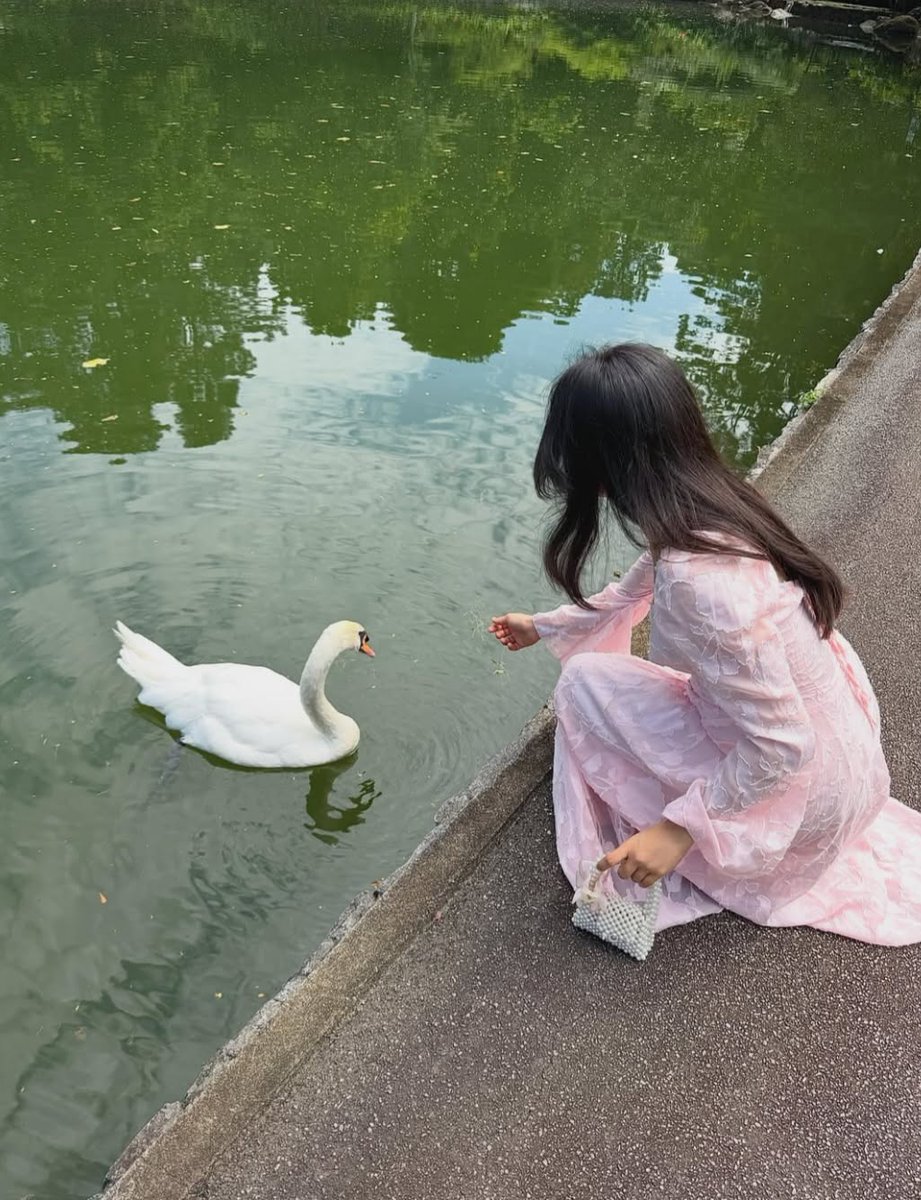 LikeTuht's tweet photo. Welcoming the spirit of simple life 🦋 reflections rejoicing in the gifts of the present hour a breath of fresh air. 🎵 https://t.co/GGysooJYmf