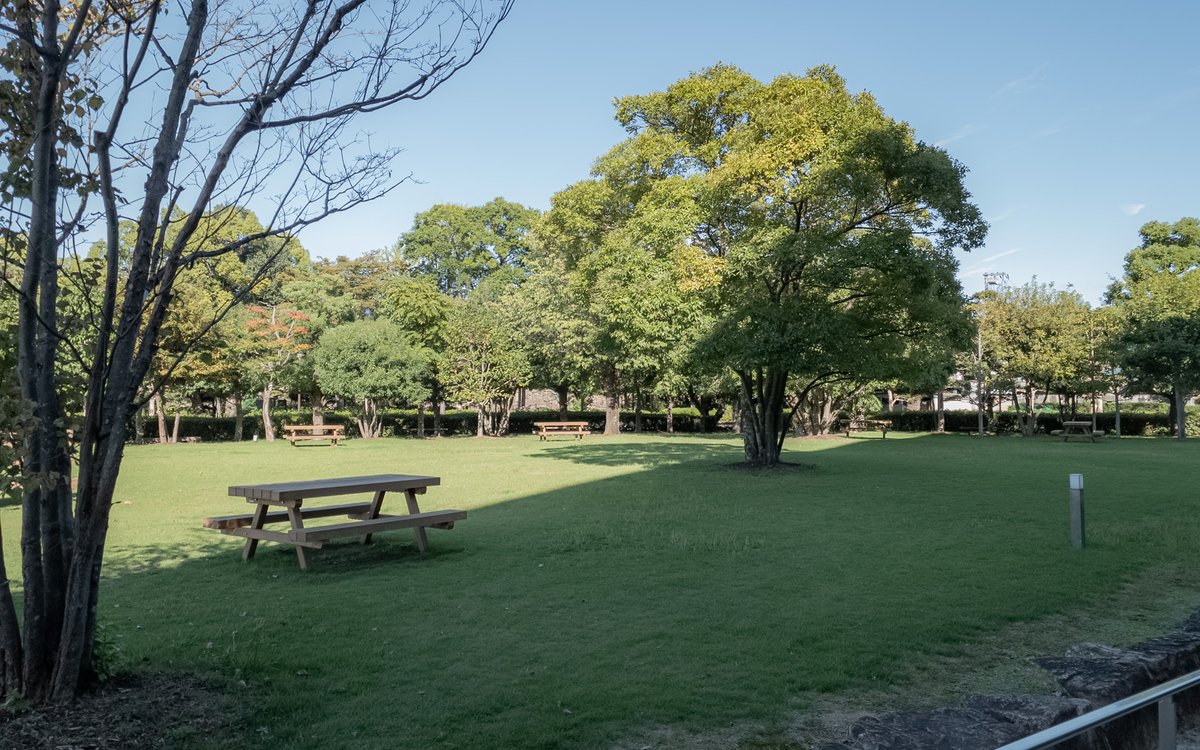 ittsuri's tweet photo. 配布場所などはこちらにご案内があります。
ボクは岡山県立図書館でもらってきました。裏の公園で読んだら最高だと思います。
https://t.co/9Rwctqde68 https://t.co/OtZMolFBZi