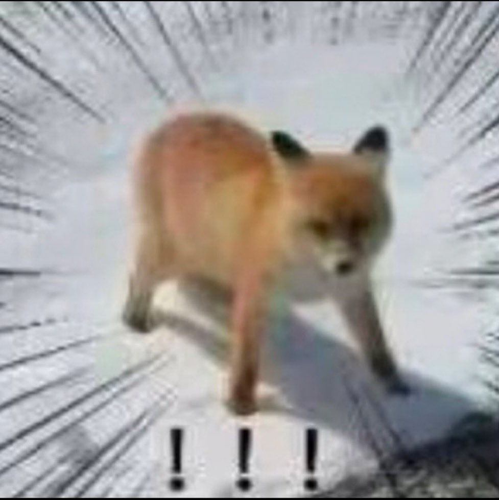 mashu_zb's tweet photo. @mohumo_fuyu やる…やんっ🦊‼️ https://t.co/HK7dxMIt0Q