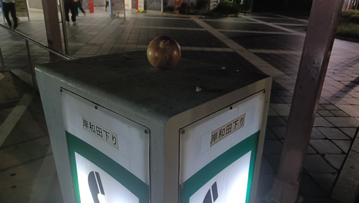 vacanada's tweet photo. サービスエリアの非常電話の上にタマネギを置いてそのまま忘れた人いませんか？まだギリ食えそうです https://t.co/SR6PwSww61