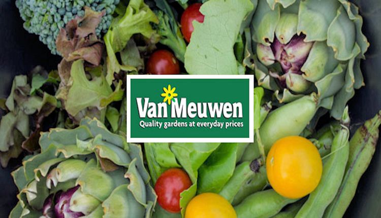 PrimeSiteUK's tweet photo. #Van_Meuwen are a fab #garden #plants_mail_order service providing #fruit, #vegetables #plants, #fruit_trees, #potatoes and provide a #free_growing_guide!
READ MORE > https://t.co/aiZ8hx8U4W
#Catalogues #Garden #Property #Shopping #Garden #gardenheaters #mailorder #plan... https://t.co/XCQ4giuTeq
