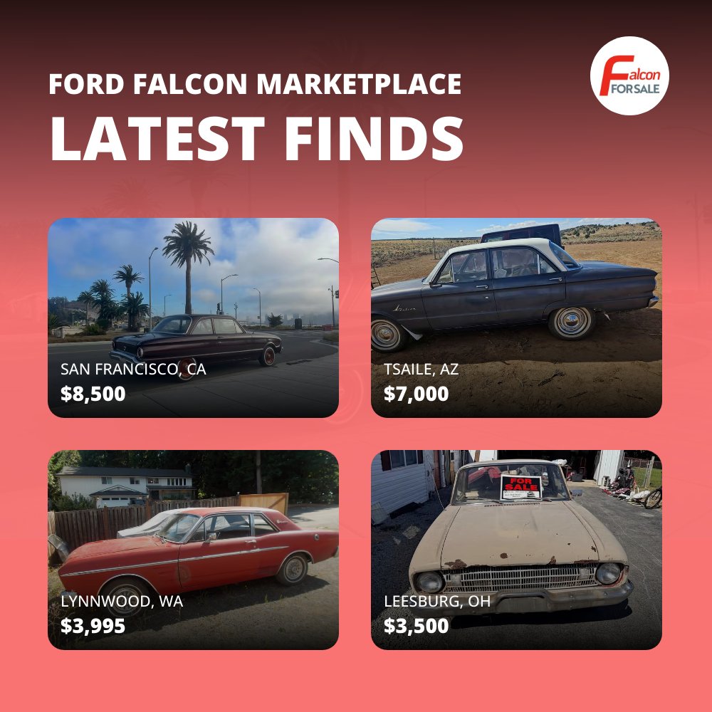 falconforsale's tweet photo. Check out new listings shared daily! Visit https://t.co/of1eeiZ9Ag https://t.co/ZPwwPDxbpJ