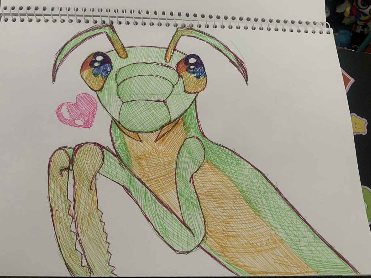 goofymercyy's tweet photo. pray mantis art :3💖💚

#praymantis #bug #bugart #kawaiiart #artmoots #artist #traditionalart https://t.co/F2CbtczQPn