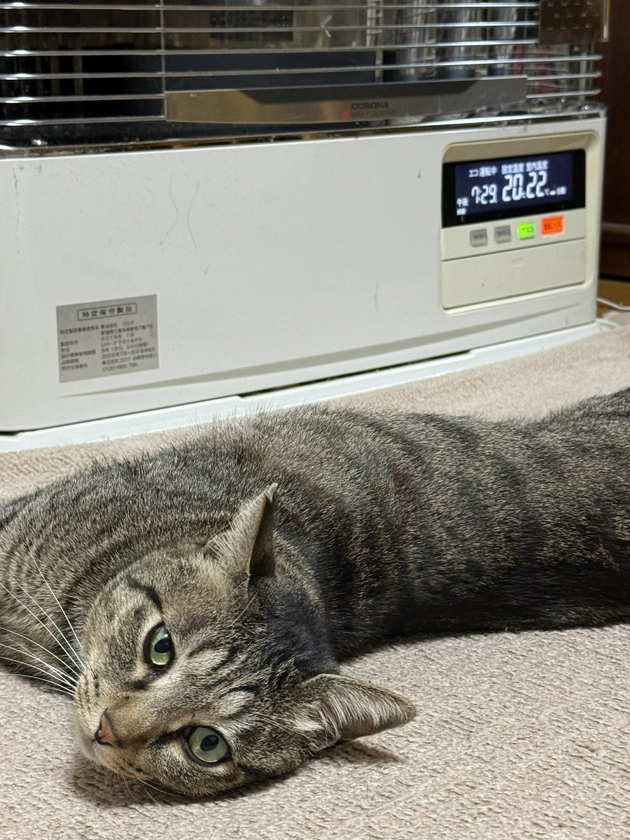 ASKICHITonden's tweet photo. ストーブ生活始まりました https://t.co/t1OxNaP7pK