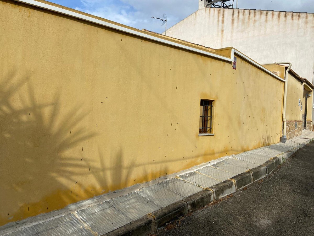 AnHellBF's tweet photo. Los vecinos de Torrealta (Molina de segura) que vivimos en las inmediaciones de la vía verde del noroeste tenemos un serio problema de insectos por falta de limpieza de la vegetación. Desde la caseta del guardavías hasta la farmacia de la Torrealta.

Urge limpiar.
@ViasVerdesRM https://t.co/5at5LRNuw7