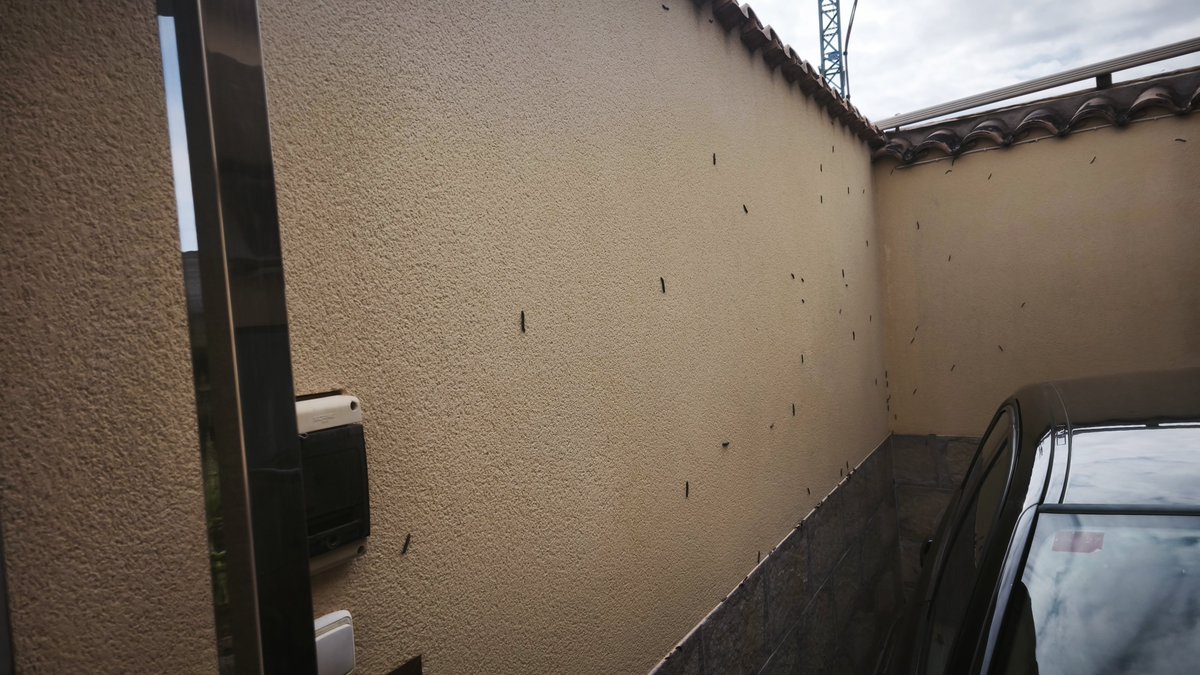 AnHellBF's tweet photo. Los vecinos de Torrealta (Molina de segura) que vivimos en las inmediaciones de la vía verde del noroeste tenemos un serio problema de insectos por falta de limpieza de la vegetación. Desde la caseta del guardavías hasta la farmacia de la Torrealta.

Urge limpiar.
@ViasVerdesRM https://t.co/5at5LRNuw7