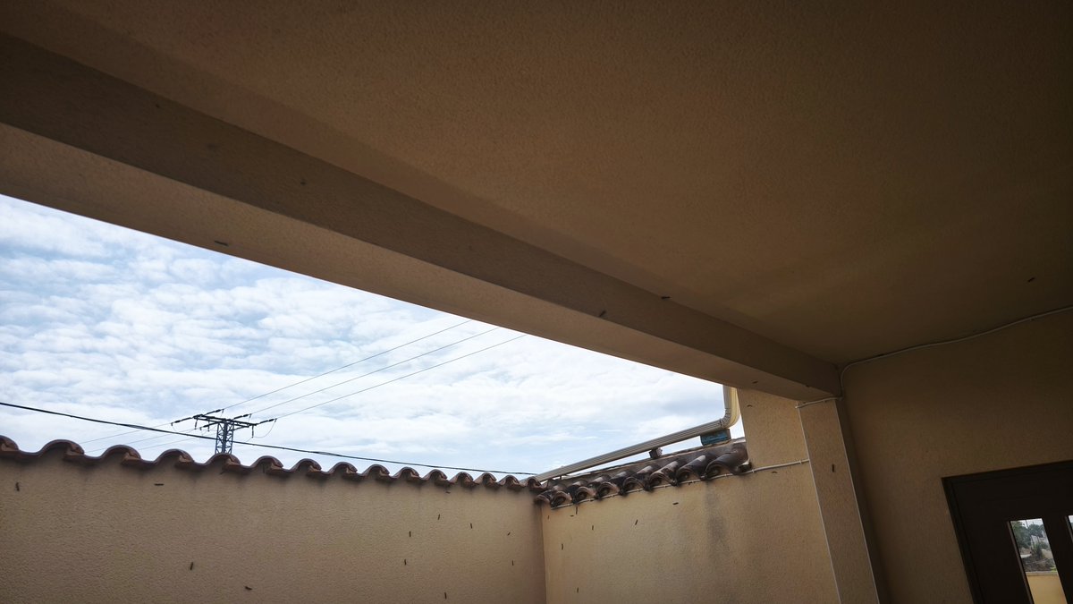 AnHellBF's tweet photo. Los vecinos de Torrealta (Molina de segura) que vivimos en las inmediaciones de la vía verde del noroeste tenemos un serio problema de insectos por falta de limpieza de la vegetación. Desde la caseta del guardavías hasta la farmacia de la Torrealta.

Urge limpiar.
@ViasVerdesRM https://t.co/5at5LRNuw7