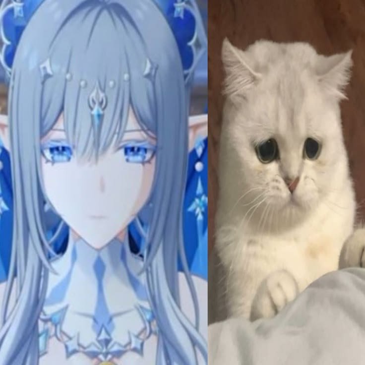 hourlytsaritsa's tweet photo. Shes just a sad wet kitty :(
#tsaritsa https://t.co/Rf5NMk1thn