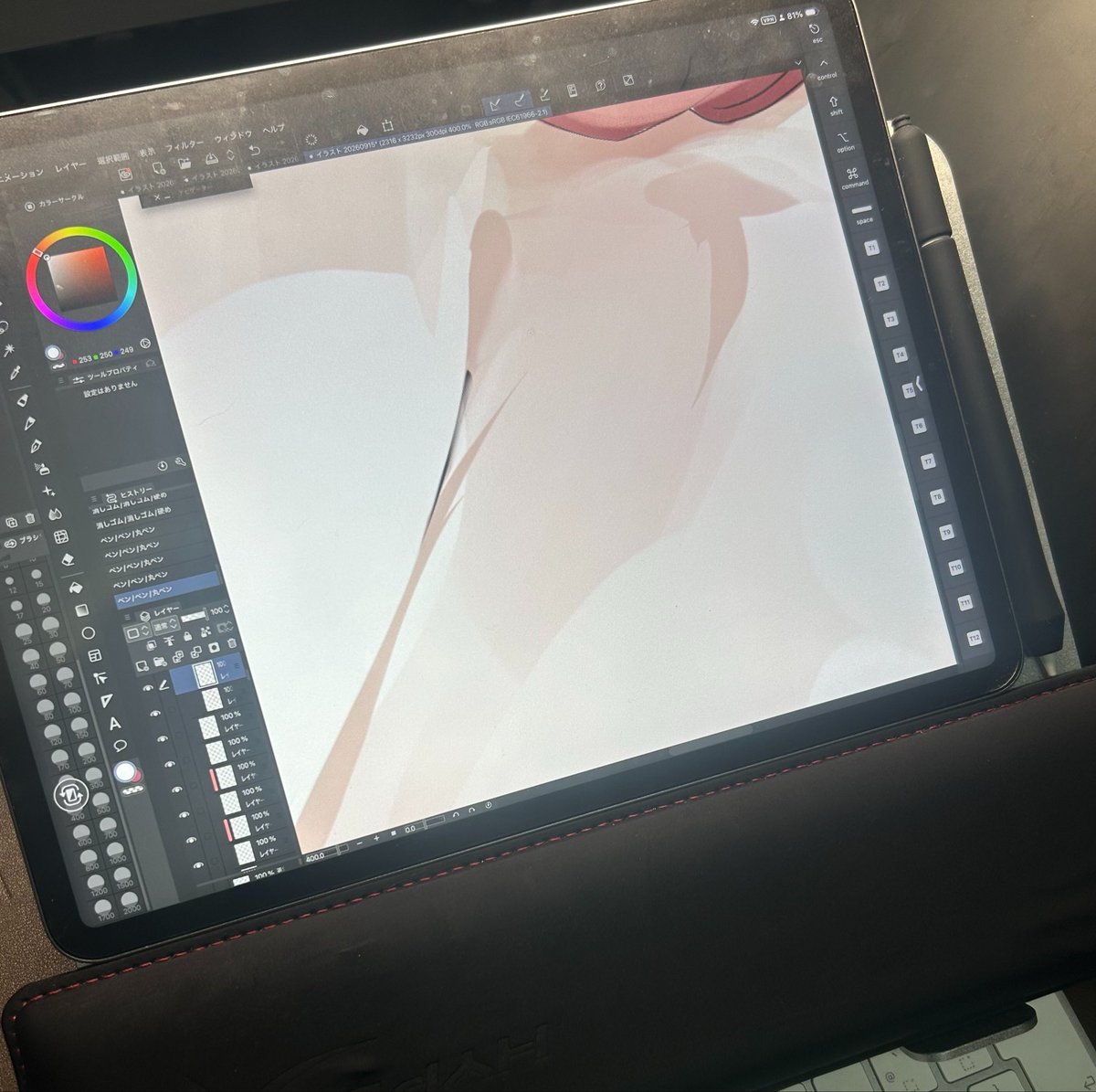 ydpEDb2z3r13338's tweet photo. 個人的iPadお絵描き環境の最適解 https://t.co/ZIMlIWyq0W