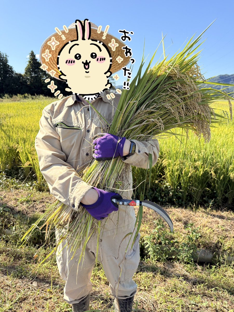 rilakkuman2012's tweet photo. 今日は朝から稲刈りでした🌾
疲れた。。。🫠 https://t.co/MFYtRMlpF3