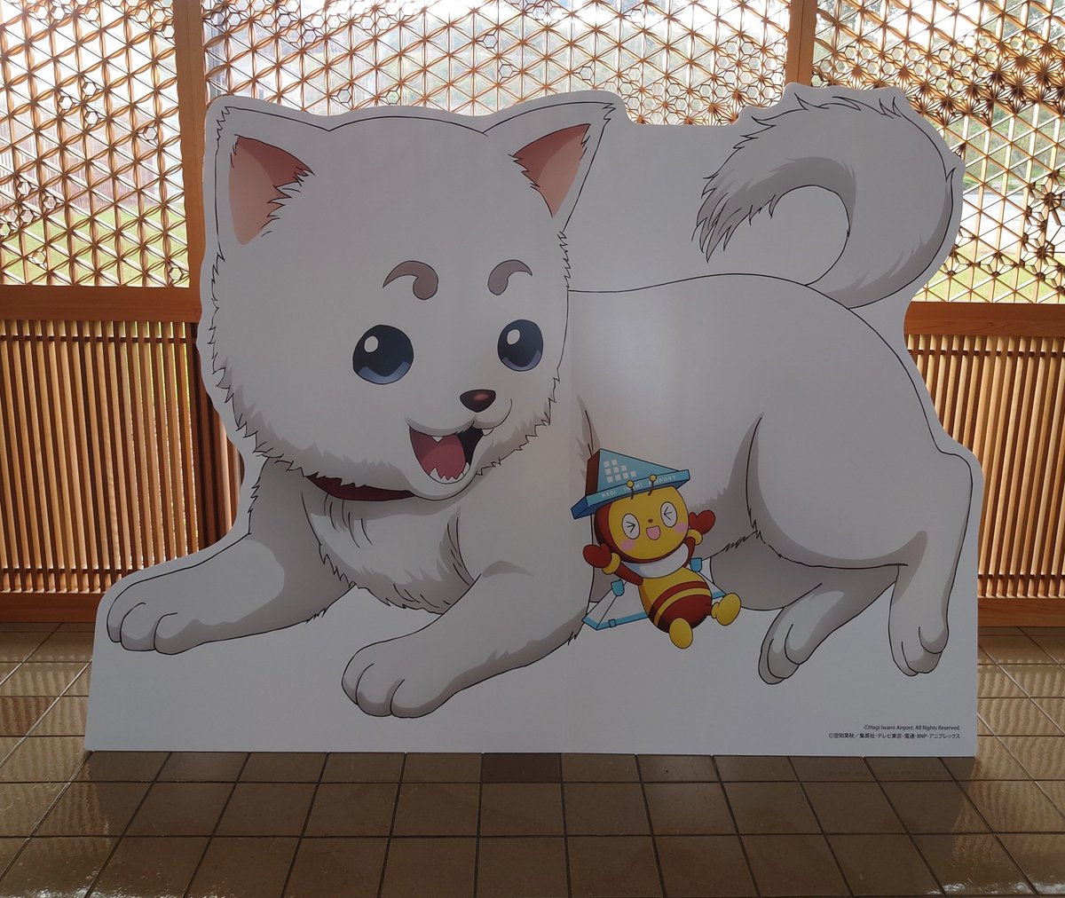 sora_96_'s tweet photo. 萩・石見空港コラボ！
定春がかわいすぎた https://t.co/DFKX3n9HLT