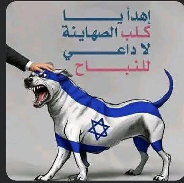 mzaher2010's tweet photo. @GileadMeir https://t.co/uM5tTSNfNp