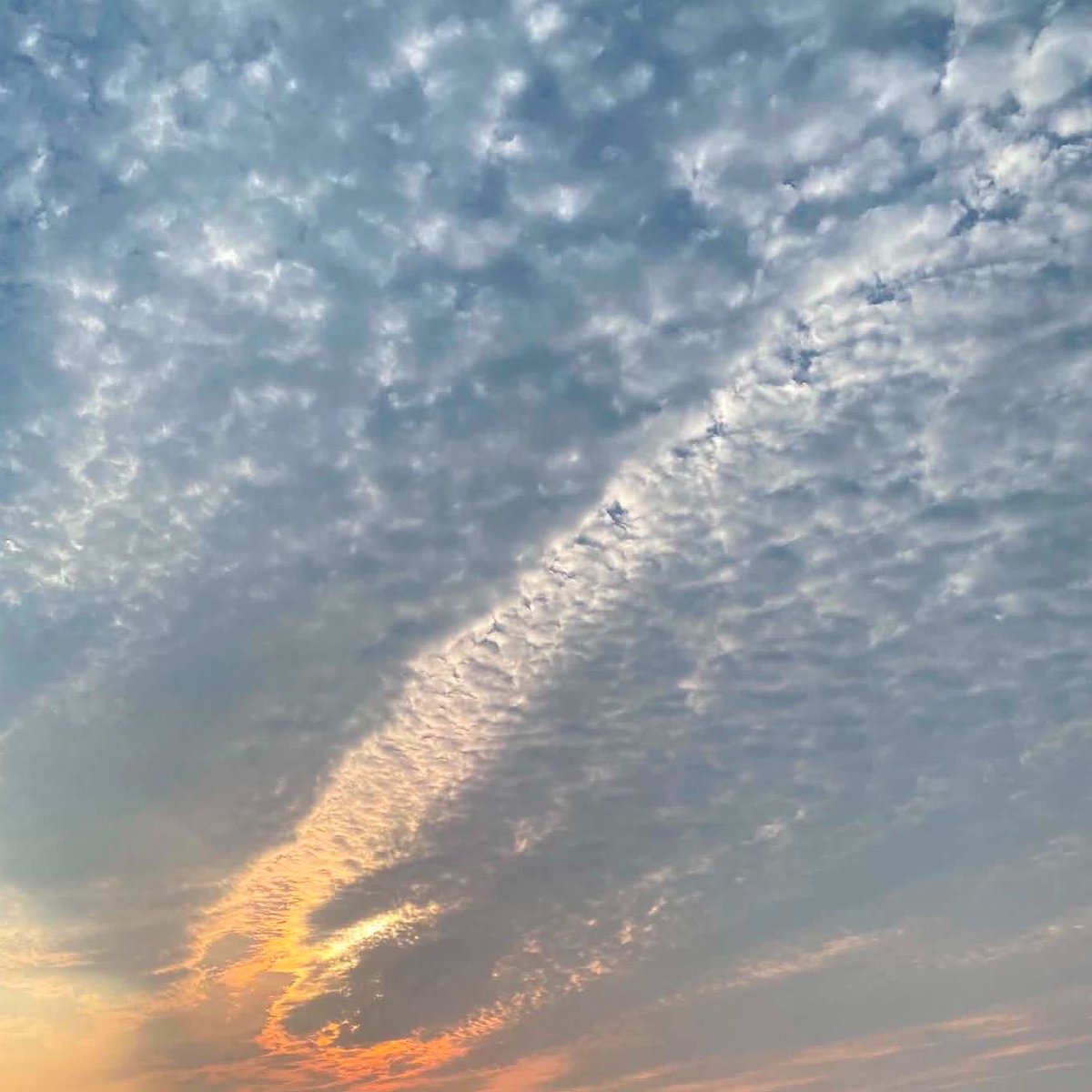 luminous_garden's tweet photo. ちょっと前に8月終わるな〜って思ってたのに…10月？？？

(๑ˊ͈ ꇴ ˋ͈)ｧ‘,､ https://t.co/U8f3dVCsZA