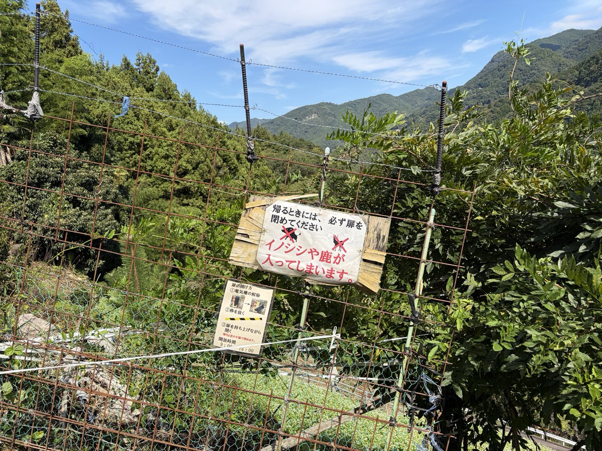 new__oceans's tweet photo. #つるぎ町
#鳴滝
#世界農業遺産
#猿飼集落
急坂にそばの花。
すごい！ https://t.co/AuAng34MNm