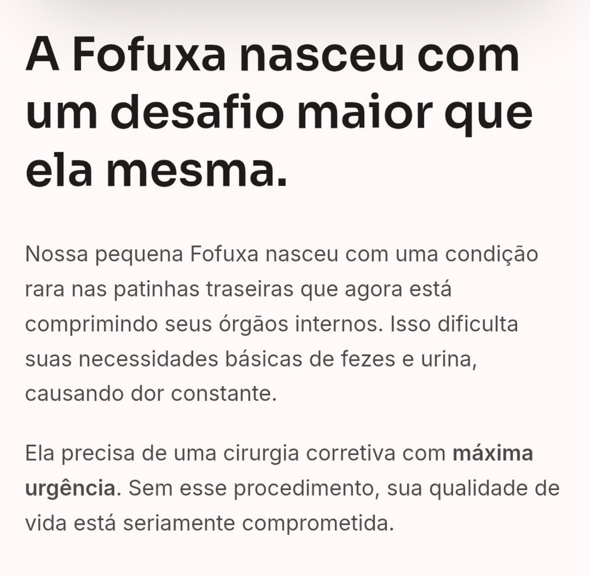 amorademaria's tweet photo. se puderem, por favor ajudem essa gatinha

vakinhafofuxa@gmail.com https://t.co/8zQOscbHYu