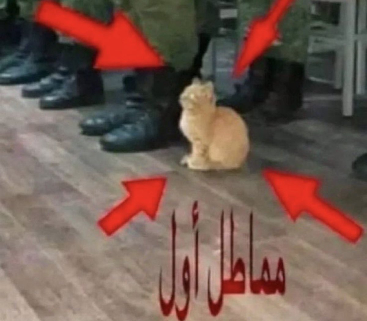 oxx3_ii's tweet photo. كل ما احس اني لازم أتأسس بالقدرات https://t.co/JiEQJqS5Ha