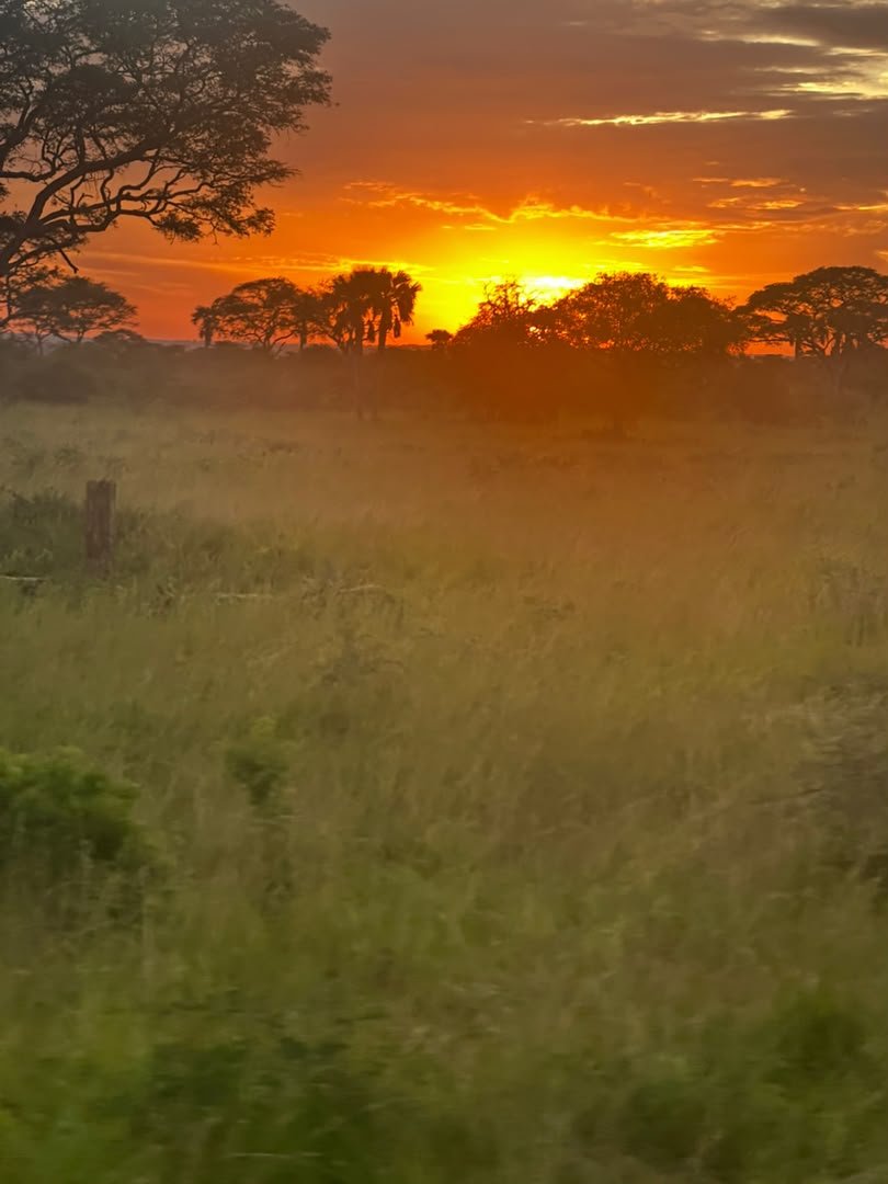 Kweli_Truth's tweet photo. Beautiful sunset from Semuliki game reserve, Ntoroko https://t.co/crt9kKmVZc