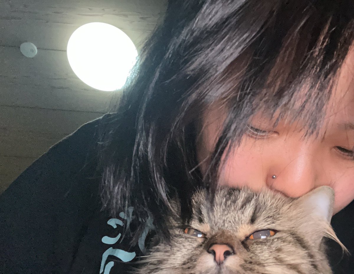 o_nsw1122's tweet photo. サトリ先生が2歳になりました🎂
長生きしてください。 https://t.co/CINbMd5mHb