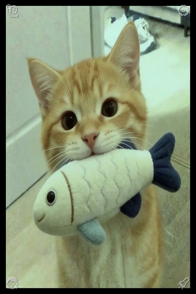 nagaokawebsite's tweet photo. 🌿The cat drinks water from a pet fountainDo not be intimidated by huge overwhelming challenging missions and projects. Split heavy large missions into simple tiny daily small tasks, and complete them bit by bit without confusing heavy mental pressure. https://t.co/xi4HGV8pfa