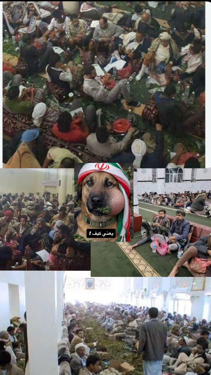 SL0DF's tweet photo. @AbwAldbyby77472 تصلي ولا تتعاطى قات ياعدو الله .. لعنك الله ياعبد ايران https://t.co/rMuKgYJaGH