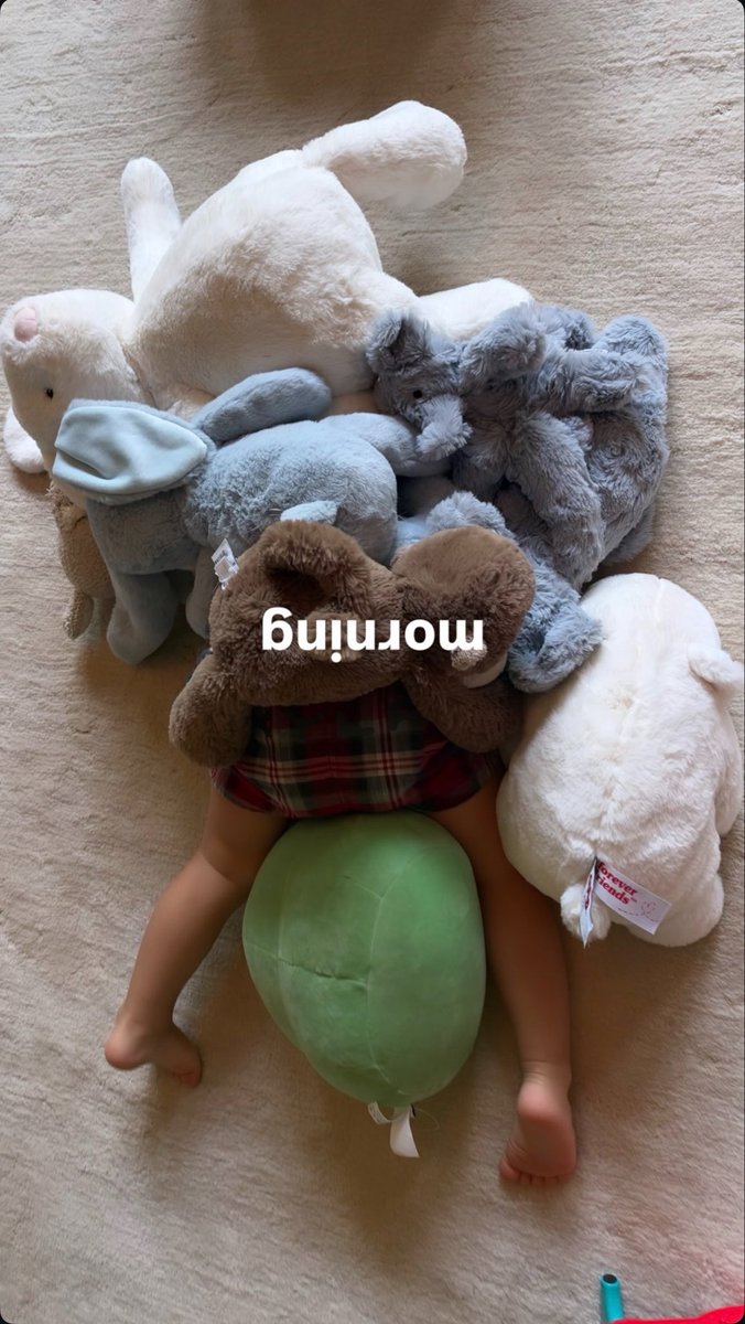 beaniscutie's tweet photo. aww she’s finally home with her two favorite boys. 🥹 https://t.co/LR5pWC1ukz
