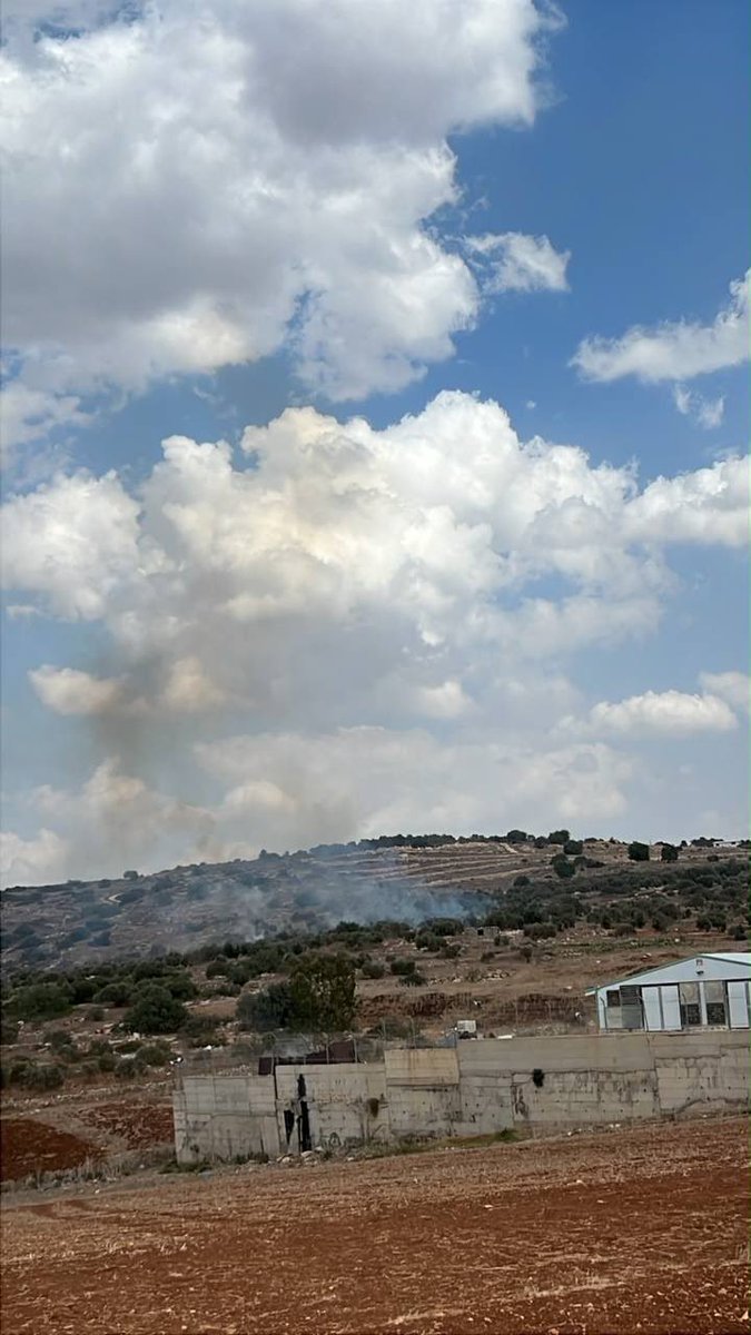 QudsNen's tweet photo. Israeli settlers set Palestinian olive trees on fire in Arbouna village, east of Jenin, occupied West Bank. https://t.co/XCXHKSEeS9