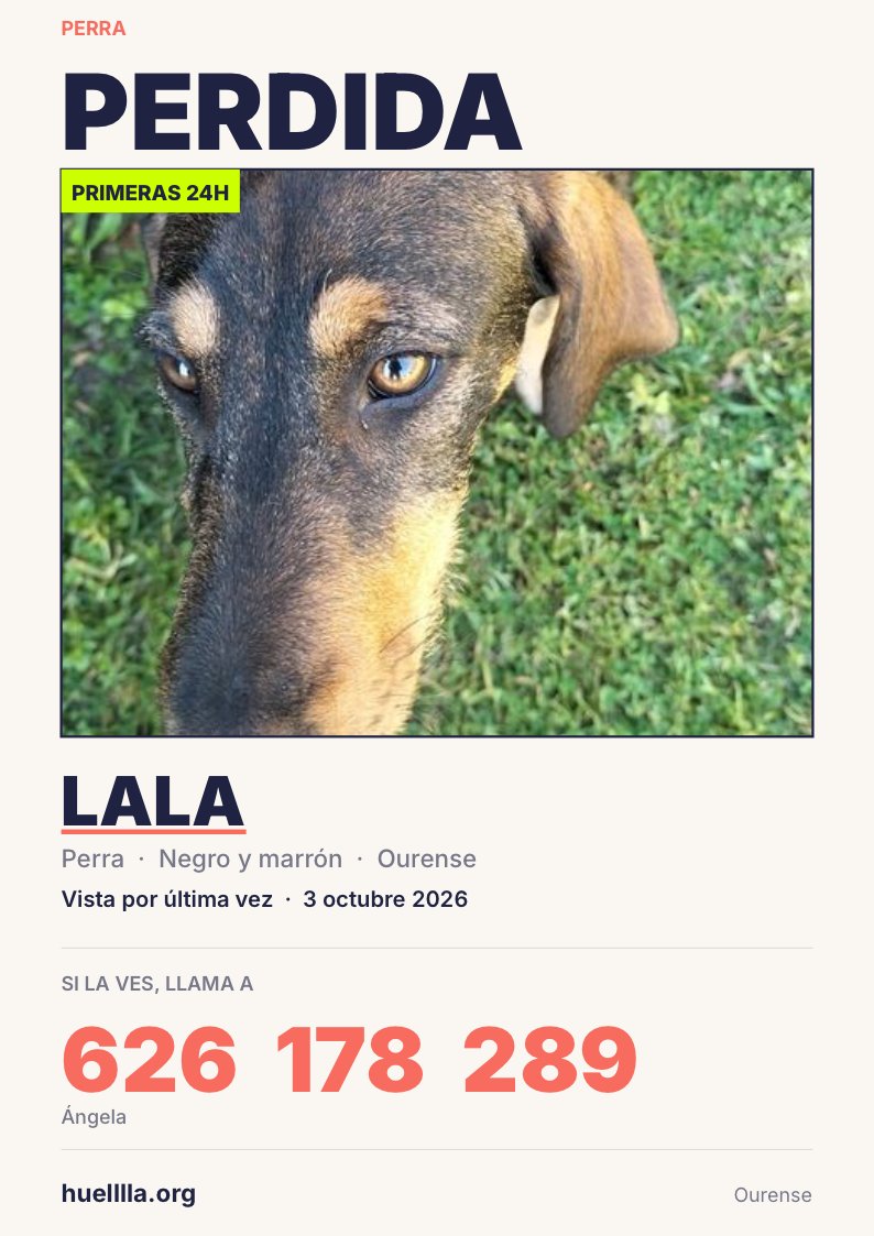 huelllla's tweet photo. URGENTE!

Son dos Lala y Bimba, van perdidas en #Gustei una parroquia de #Coles, #Ourense. Se han perdido hoy!

https://t.co/jDJITDXEFl https://t.co/gakVrJgv8M