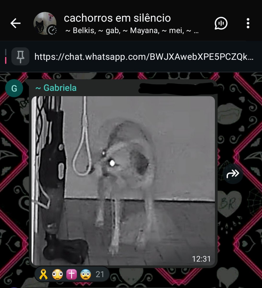 amoratinhosz's tweet photo. cara https://t.co/Io4gRyIBx2