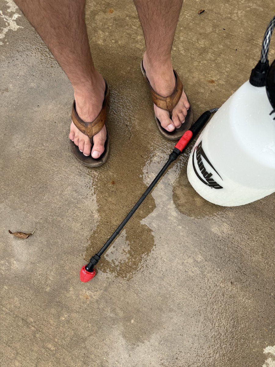alphadaddyfeet's tweet photo. Getting rid of those pesky bugs 🐛 Permethrin or Taurus SC are my go to. https://t.co/W3tQmedfCI