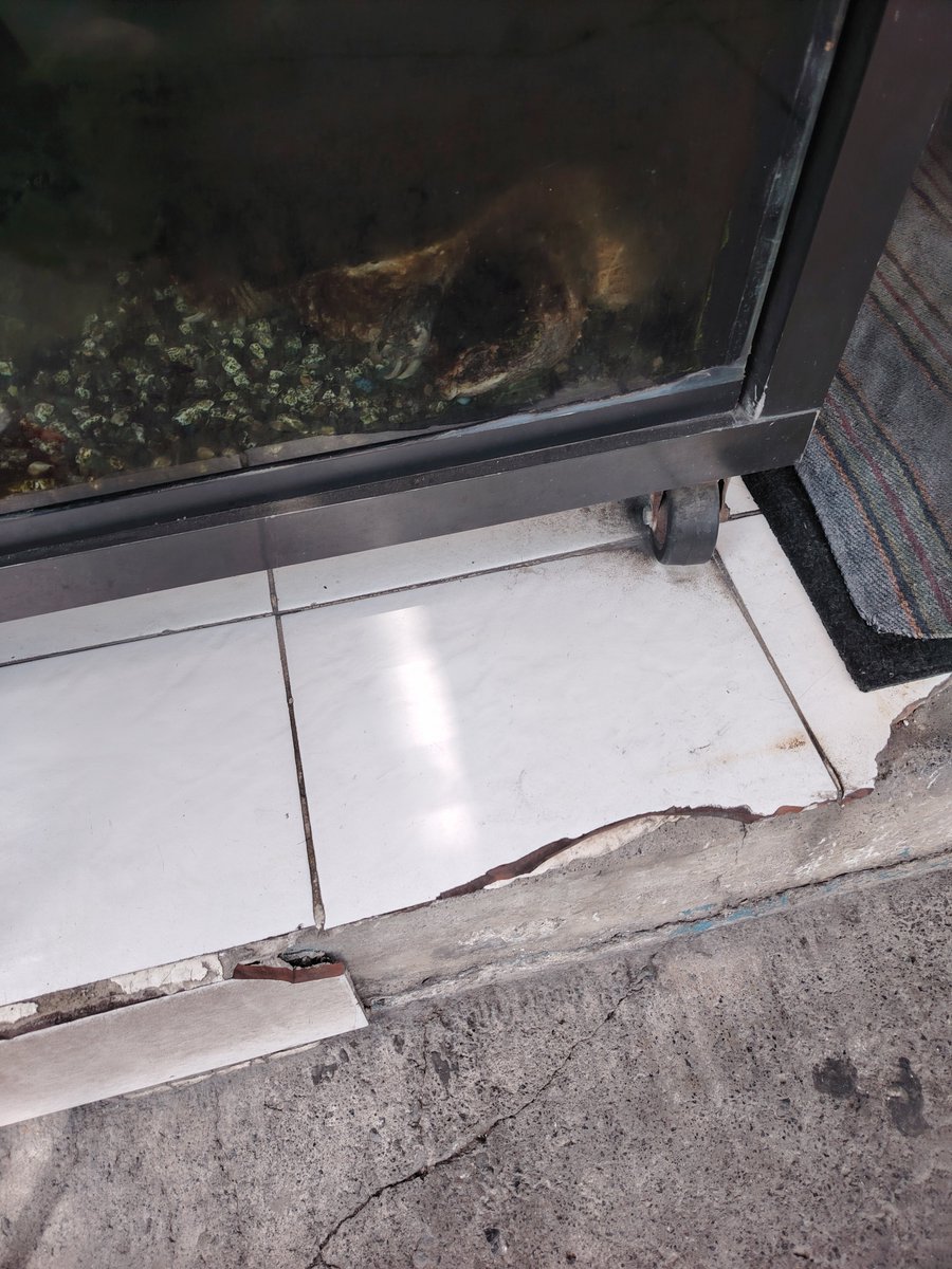 J02Burza's tweet photo. @PROFEPA_Mx @SEMAR_mx Y mientras en @gob_tlalne a la vista en calle Aldama y revolución una tortuga así, en aparador pequeño y las autoridades ni hacen nada aún que se reporte, @SEMAR_mx y @PROFEPA_M
Así cuidan l.fauna hoy los de la 4T https://t.co/Y4SFCRhAOw