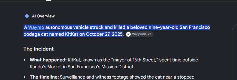 rootpill's tweet photo. @FredLambert waymo literally ran over a cat? lidar and all https://t.co/kBuTAErP40