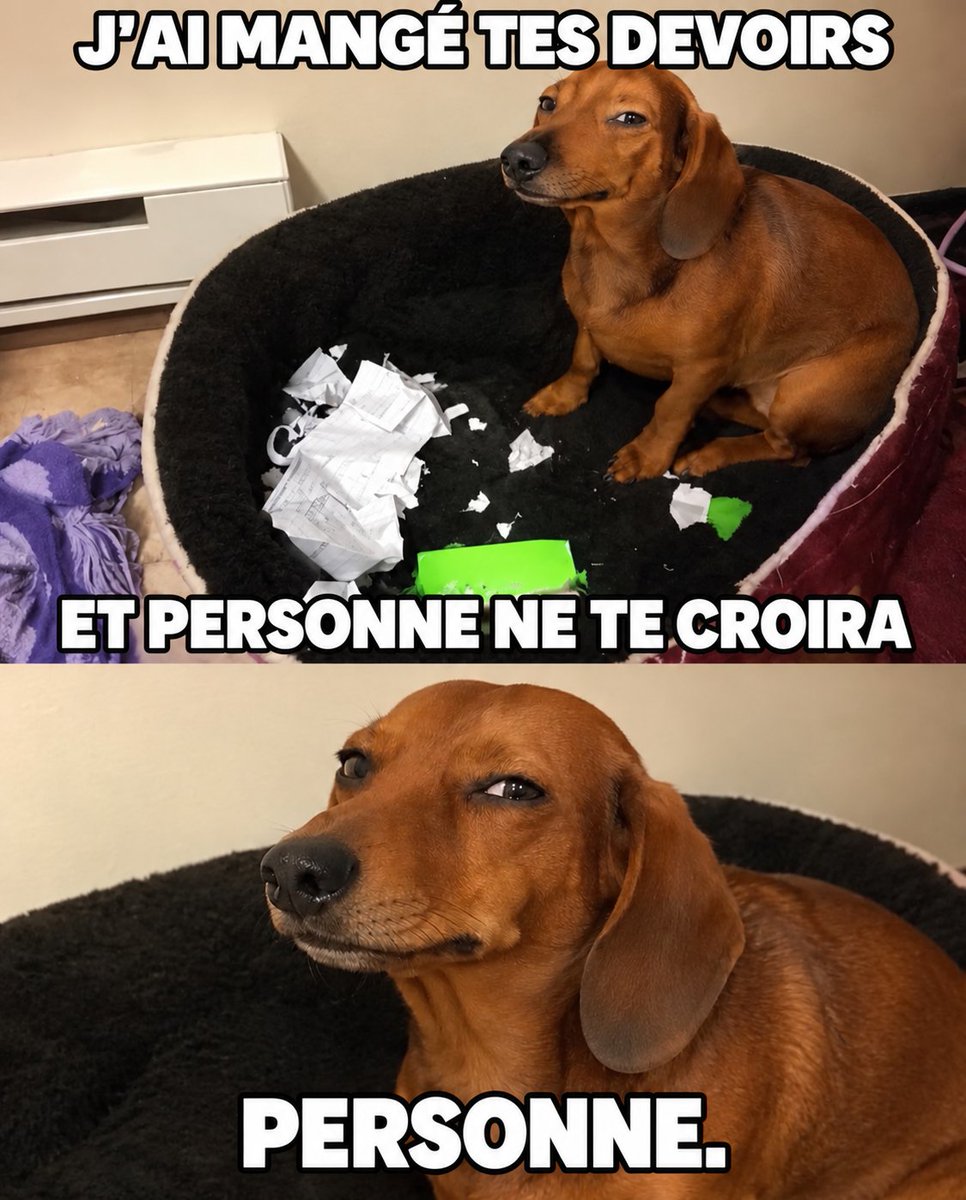 Raclure03's tweet photo. Et combien de fois personne ne m'a cru 😭😭😭😭😭 https://t.co/us22MlZIAA